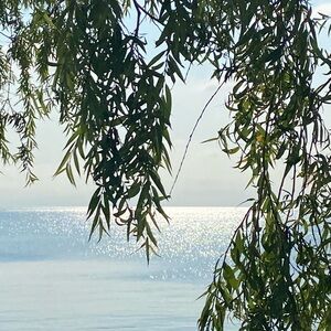 Meet your Posher, Lexy